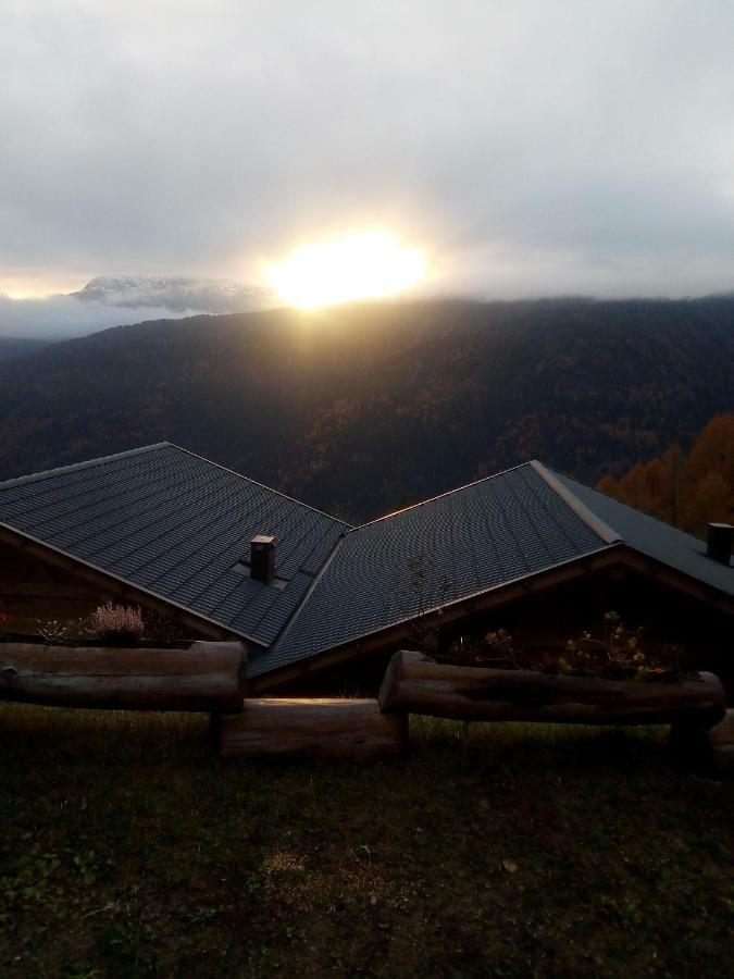 Chalet Niederhaushof Ултимо Екстериор снимка