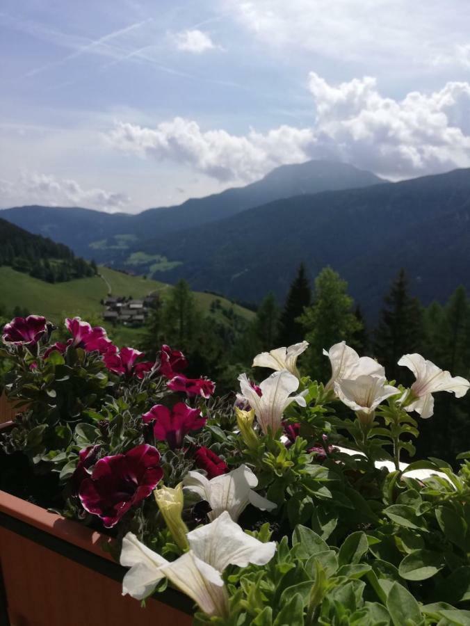 Chalet Niederhaushof Ултимо Екстериор снимка