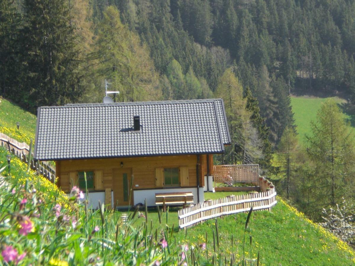 Chalet Niederhaushof Ултимо Екстериор снимка