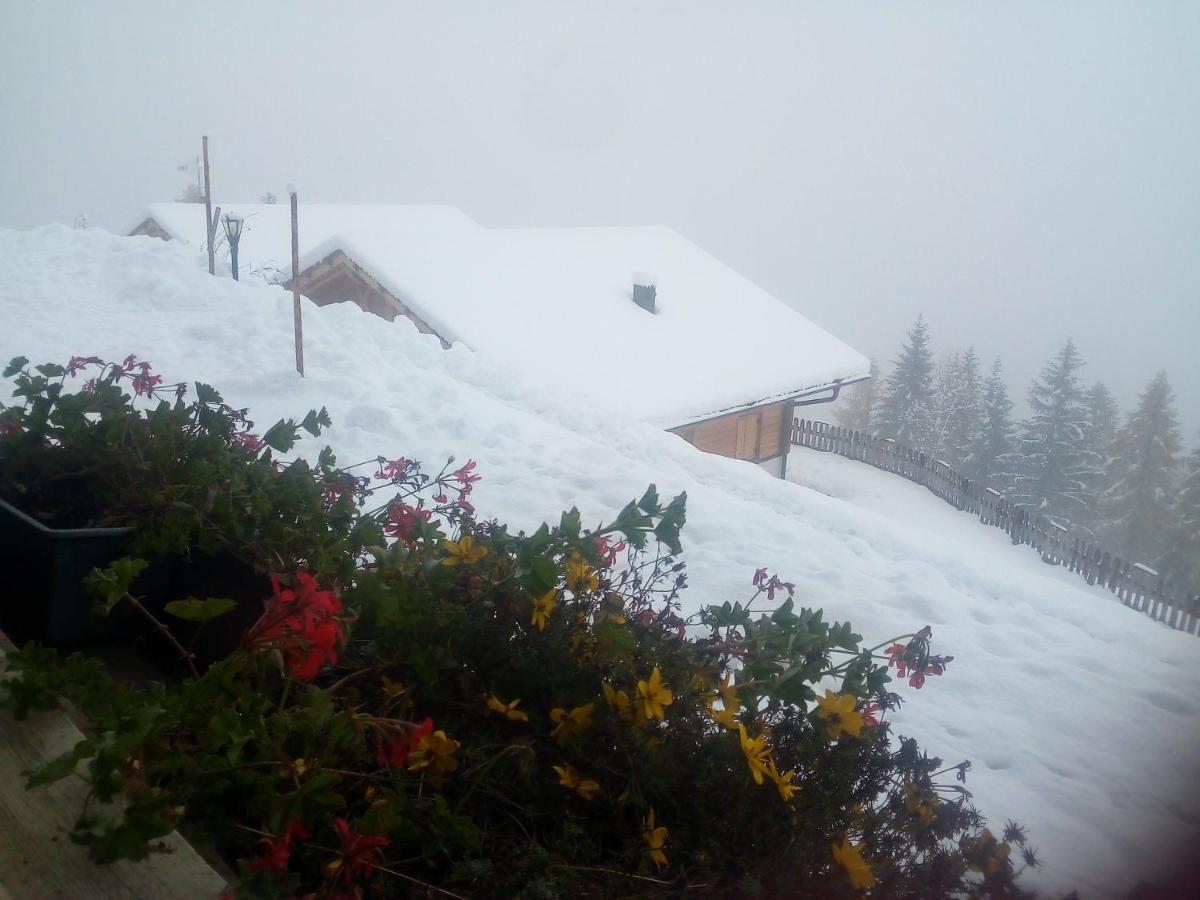 Chalet Niederhaushof Ултимо Екстериор снимка