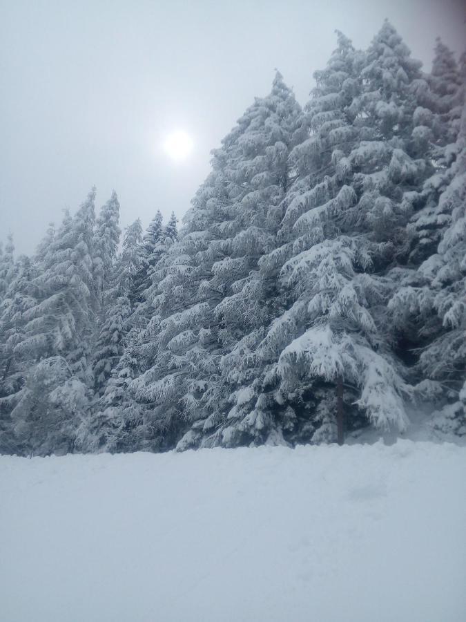 Chalet Niederhaushof Ултимо Екстериор снимка